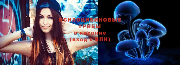 сатива Арсеньев