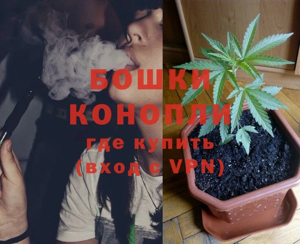 сатива Арсеньев