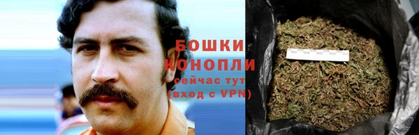 стаф Баксан