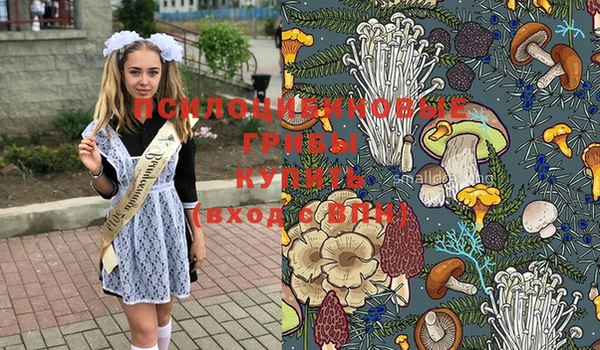 гашик Армянск