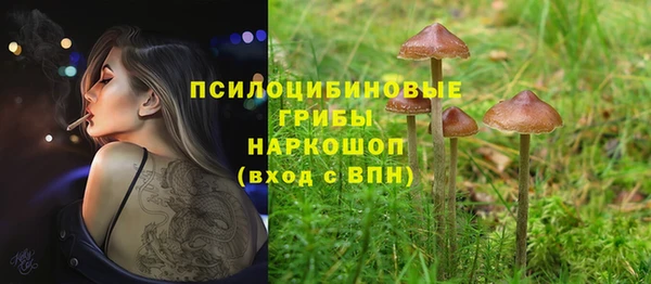 сатива Арсеньев