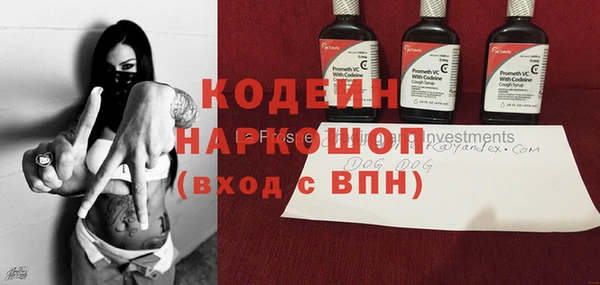 сатива Арсеньев