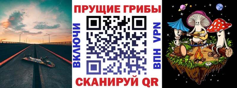 Купить где  Вихоревка  Псилоцибиновые грибы Psilocybe 